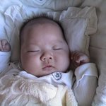 우리 <b>귀염둥이</b>들...~~