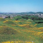 대구<b>불로</b>고분군