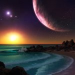 cove of <b>dreams</b>