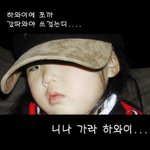 <b>하와이</b>로 가라