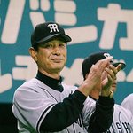 일본<b>야구팀</b> 한신타이거즈日本불황탈출하다