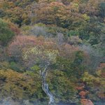 <b>주왕산</b> 주산지
