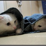터널 <b>대용</b>... 청바지 속에서...