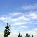 <b>시원</b>해보이는 하늘 ~