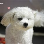 <b>엄마</b>~<b>눈</b>이 너무 부셔요ㅎㅎㅎ
