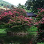 명옥헌<b>원림</b>
