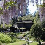 huntington library에 있는 japanize <b>garden</b>