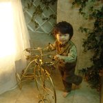 플란다스의 개 주인공 네로 <b>환생</b>....^__^;