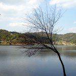 고복<b>저수지</b>