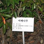 탁재훈 나무