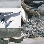 싱가폴에 있는 태권도 <b>도장</b> 광고