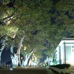 오랜만에 밤경치를 올립<b>니더</b>예8