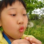 <b>서울숲</b>의 봄~★