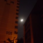 외<b>숙모</b>님과 패밀리랜드에서 즐거운 시간을 가졌어요.^^~☆♡~♬