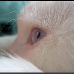 아빠의 <b>대명사</b>... 샘...