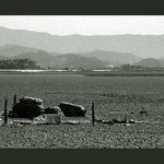 <b>갯벌</b>위의사람