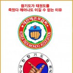 <b>합기도</b>가 태권도를 죽어도 못이기는이유?