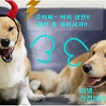 <b>강쥐</b> 열받아써요!ㅋ
