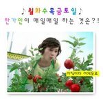 한가인의 하루