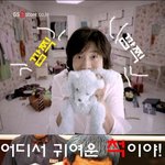 사랑의 매 맞는 권상우 '-';