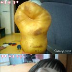 <b>주먹</b>쥔 감자