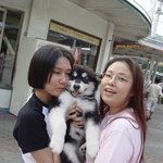 시베리안 <b>허스키</b> 우리 사랑 ^^