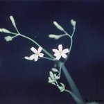 <b>야생</b>-