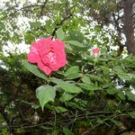 남서울 <b>예식장</b>에서..