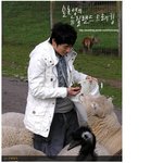 양치기 소년이 된 <b>손호영</b>