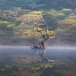 경관이 좋아서 올립<b>니더</b>예3