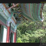 <b>진해</b> 대광사