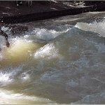 jump, <b>speed</b> &amp; thrill (19)