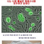 나는 나를 빼닮은 <b>복제</b>소녀를 창조하고 싶었다