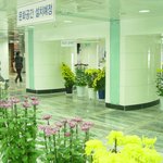 광화문 '땅굴' 국화 화분으로 응급<b>조치</b>