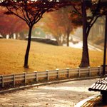 쓸쓸한 <b>벤치</b>