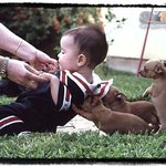 <b>충성</b>스러운 강아지~
