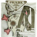 <b>prada</b> handbags 2004/05 collection