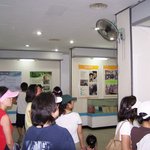 고성 통일 전망대의 관광객에 대한 <b>모독</b>