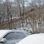 새벽에 내린눈/이완호영상/dreamgallery.<b>org</b>-드림갤러리