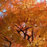 the <b>great</b> scenery