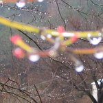 <b>이슬</b>