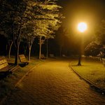밤의 <b>침묵</b>...