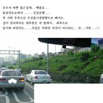 <b>갓길</b>...째꼴로