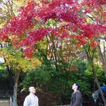 <b>예산</b>-향천사