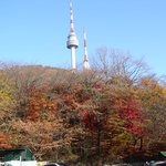 2004 <b>남산</b>의 가을 (1)