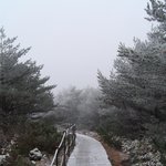 <b>한라산</b>에 내린눈