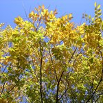 <b>오매</b>..가을이 깊었네.