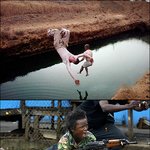 2004년 퓰리처상 수상작
