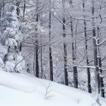 한바탕올립<b>니더</b>예......!4