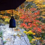 <b>지리산</b> 법계사의 가을